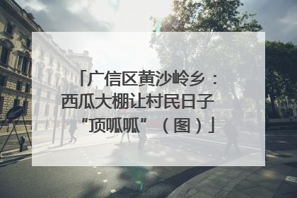 广信区黄沙岭乡：西瓜大棚让村民日子“顶呱呱”（图）