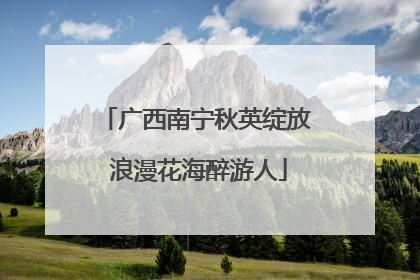 广西南宁秋英绽放 浪漫花海醉游人