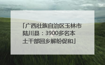 广西壮族自治区玉林市陆川县：3900多名本土干部回乡解纷促和