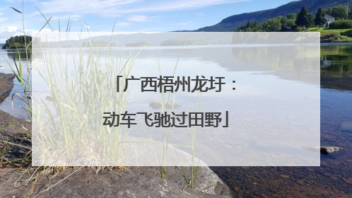 广西梧州龙圩：动车飞驰过田野