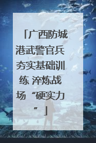 广西防城港武警官兵夯实基础训练 淬炼战场“硬实力”