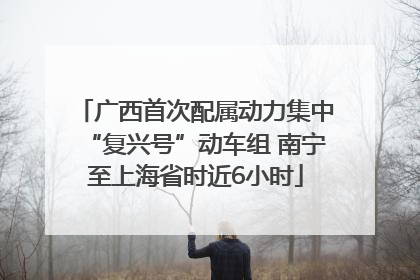 广西首次配属动力集中“复兴号”动车组 南宁至上海省时近6小时