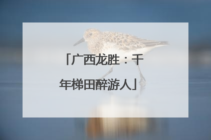 广西龙胜：千年梯田醉游人