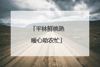 平林鲜桃熟 暖心助农忙