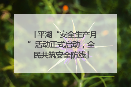 平湖“安全生产月”活动正式启动，全民共筑安全防线