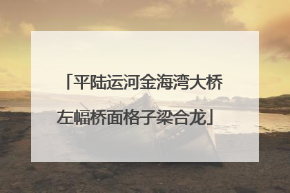 平陆运河金海湾大桥左幅桥面格子梁合龙