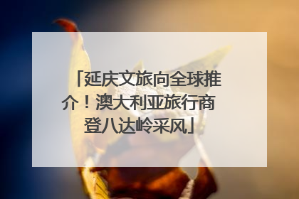 延庆文旅向全球推介！澳大利亚旅行商登八达岭采风