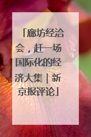 廊坊经洽会，赶一场国际化的经济大集｜新京报评论