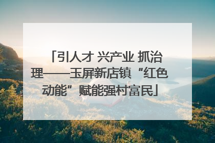引人才 兴产业 抓治理——玉屏新店镇“红色动能”赋能强村富民