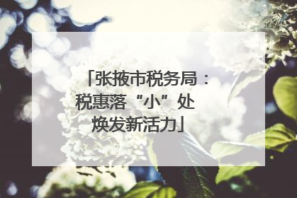 张掖市税务局：税惠落“小”处 焕发新活力