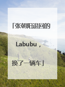 张朝阳退回的Labubu，换了一辆车