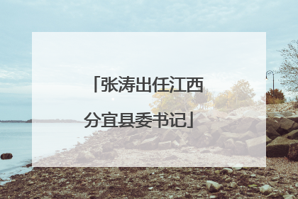 张涛出任江西分宜县委书记