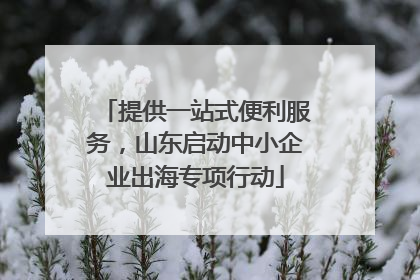 提供一站式便利服务，山东启动中小企业出海专项行动