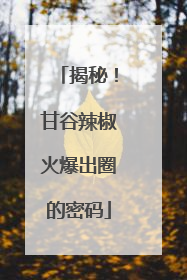 揭秘！甘谷辣椒火爆出圈的密码