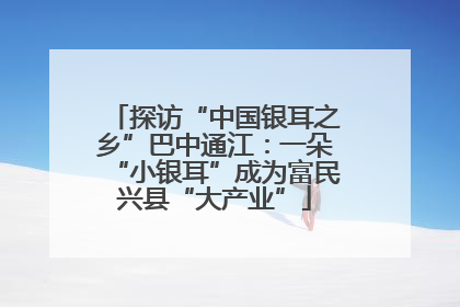 探访“中国银耳之乡”巴中通江：一朵“小银耳”成为富民兴县“大产业”