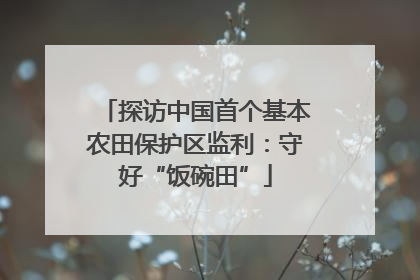 探访中国首个基本农田保护区监利：守好“饭碗田”