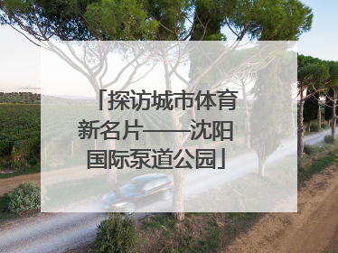 探访城市体育新名片——沈阳国际泵道公园