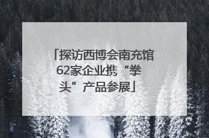 探访西博会南充馆 62家企业携“拳头”产品参展