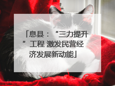 息县：“三力提升”工程 激发民营经济发展新动能