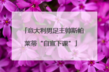 意大利男足主帅斯帕莱蒂“自宣下课”