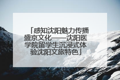 感知沈阳魅力传播盛京文化——沈阳医学院留学生沉浸式体验沈阳文旅特色