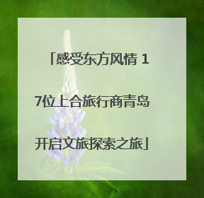 感受东方风情 17位上合旅行商青岛开启文旅探索之旅