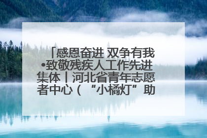 感恩奋进 双争有我•致敬残疾人工作先进集体丨河北省青年志愿者中心（“小橘灯”助残接力计划实施团队）：用温暖陪伴，守护特殊孩子成长