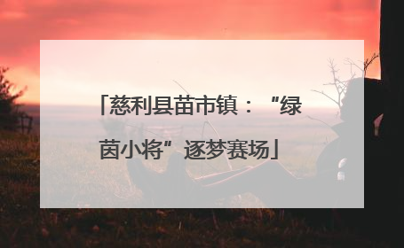 慈利县苗市镇：“绿茵小将”逐梦赛场
