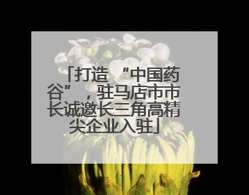 打造 “中国药谷”，驻马店市市长诚邀长三角高精尖企业入驻