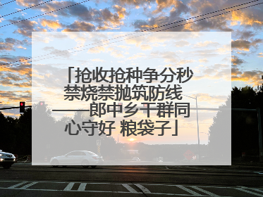 抢收抢种争分秒 禁烧禁抛筑防线——郎中乡干群同心守好 粮袋子