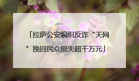 拉萨公安编织反诈“天网”挽回民众损失超千万元