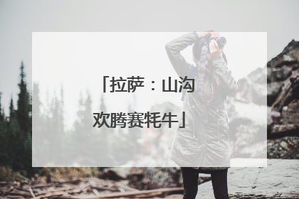 拉萨：山沟欢腾赛牦牛
