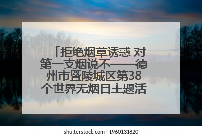 拒绝烟草诱惑 对第一支烟说不——德州市暨陵城区第38个世界无烟日主题活动走进校园