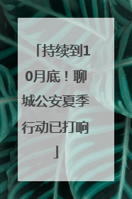 持续到10月底！聊城公安夏季行动已打响
