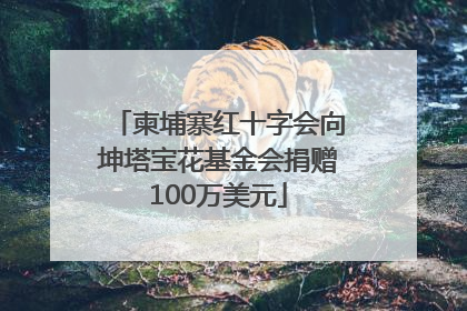 柬埔寨红十字会向坤塔宝花基金会捐赠100万美元