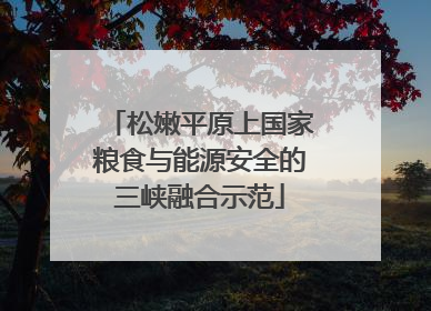 松嫩平原上国家粮食与能源安全的三峡融合示范