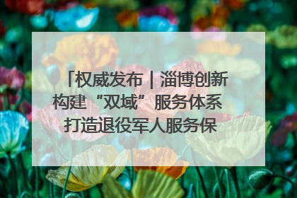 权威发布｜淄博创新构建“双域”服务体系 打造退役军人服务保障“淄博样板”