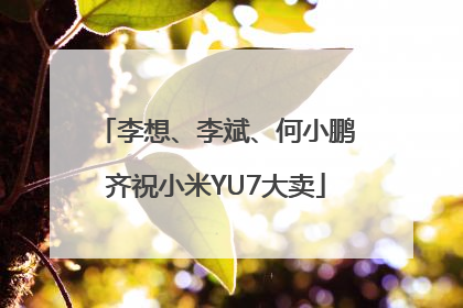 李想、李斌、何小鹏齐祝小米YU7大卖