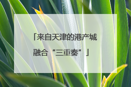来自天津的港产城融合“三重奏”