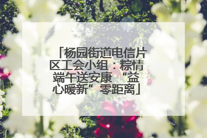 杨园街道电信片区工会小组：粽情端午送安康 “益心暖新”零距离