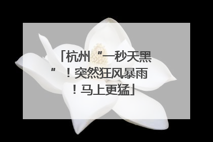 杭州“一秒天黑”！突然狂风暴雨！马上更猛