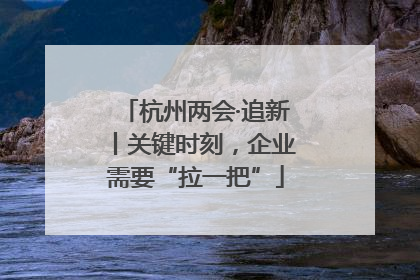 杭州两会·追新丨关键时刻，企业需要“拉一把”