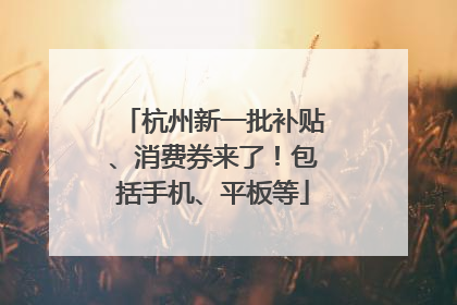 杭州新一批补贴、消费券来了！包括手机、平板等