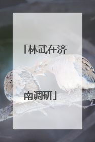 林武在济南调研