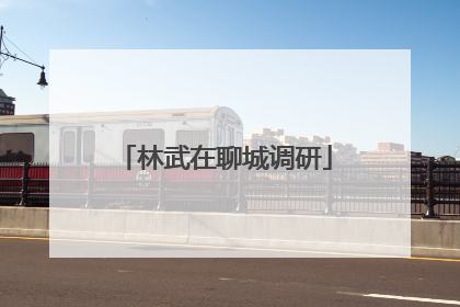 林武在聊城调研