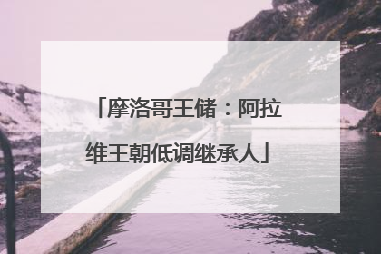 摩洛哥王储：阿拉维王朝低调继承人