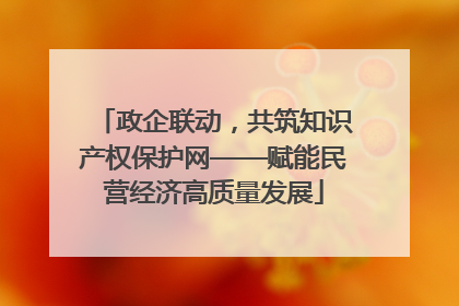 政企联动，共筑知识产权保护网——赋能民营经济高质量发展