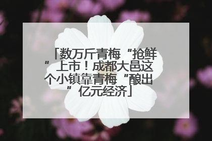数万斤青梅“抢鲜”上市！成都大邑这个小镇靠青梅“酿出”亿元经济