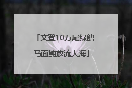 文登10万尾绿鳍马面鲀放流大海
