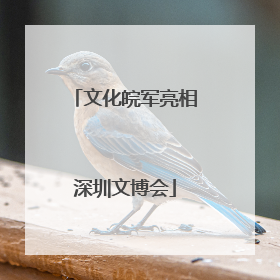 文化皖军亮相深圳文博会